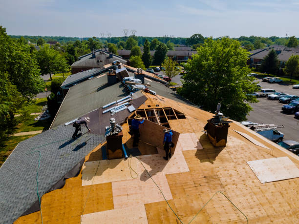 Best Storm Damage Roof Repair  in Vidalia, LA