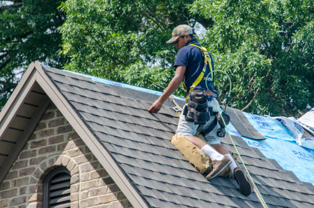 Best Gutter Installation and Roofing  in Vidalia, LA